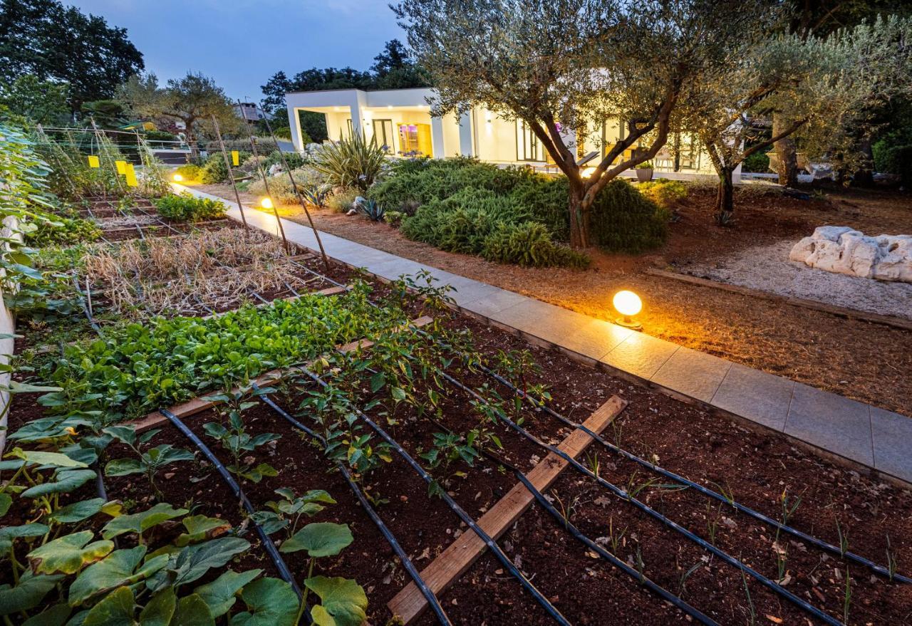 Goldimare Garden Umag