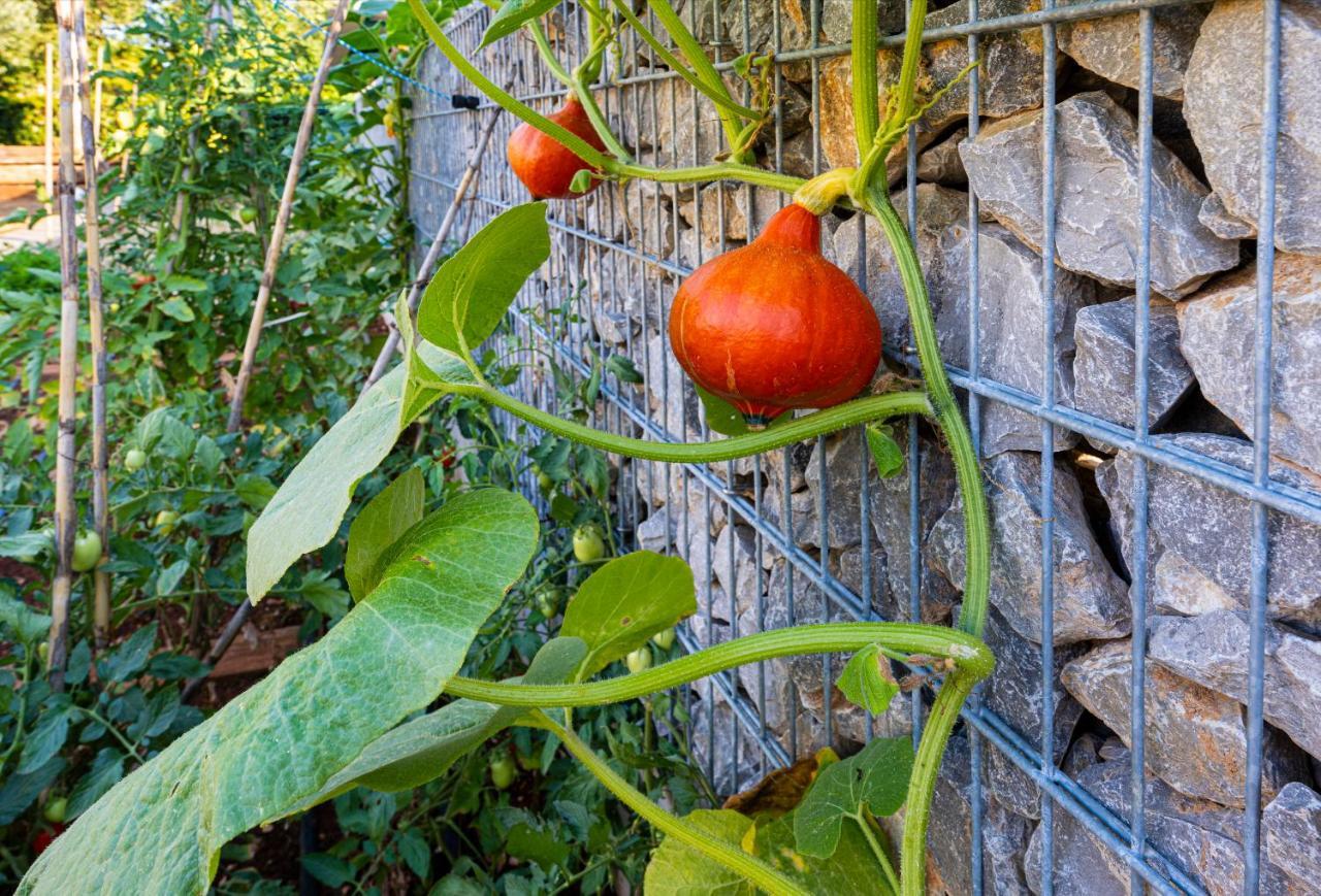 Goldimare Garden *